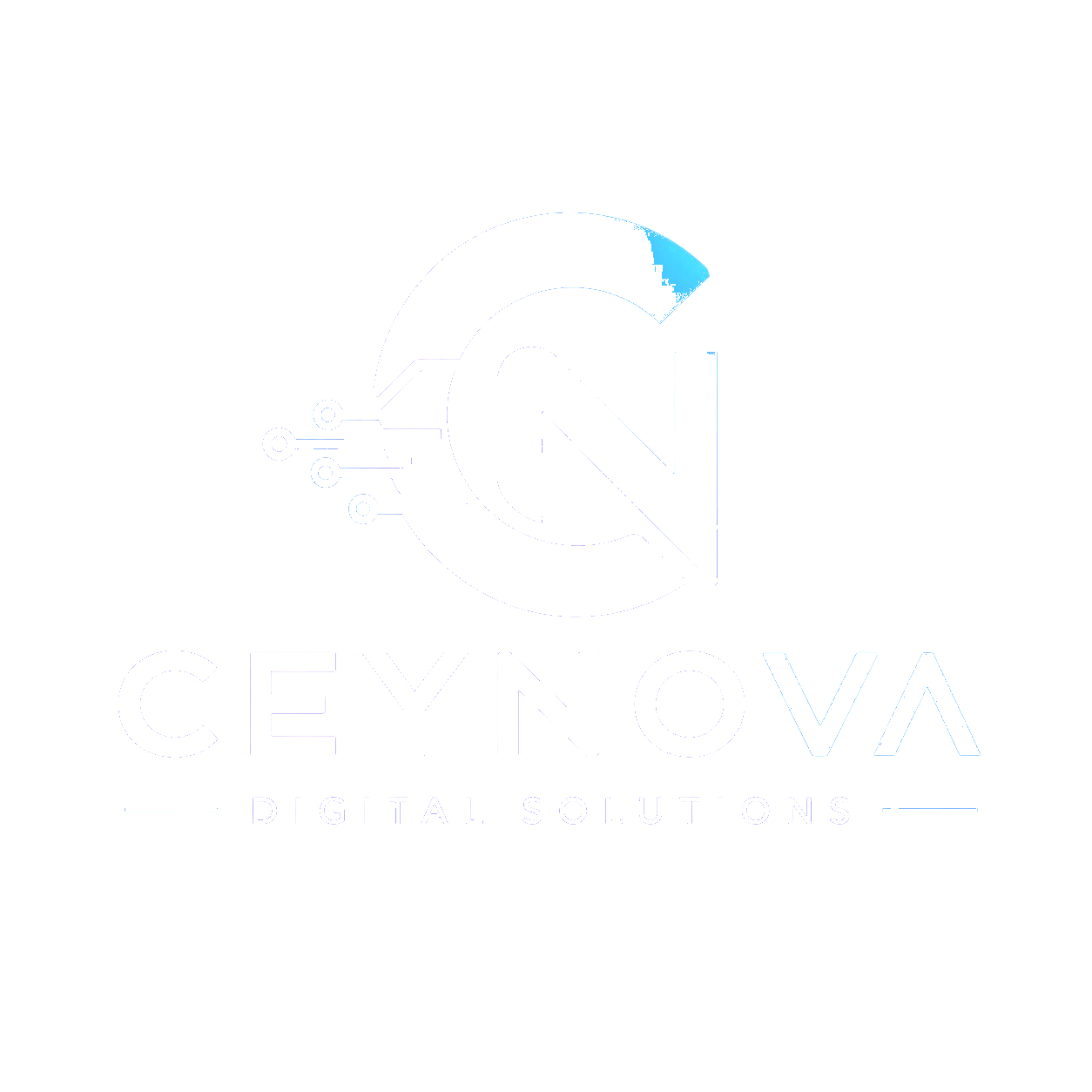 Ceynova Digital Solutions
